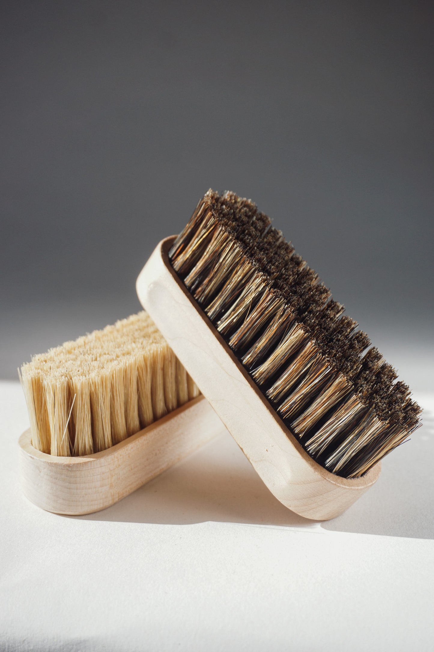 Shoe Brush