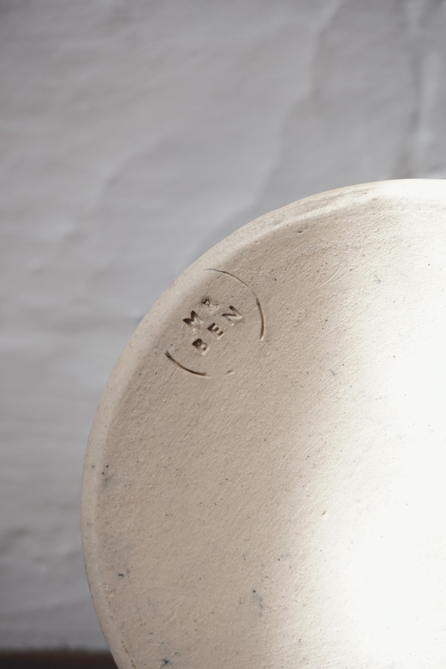 Gull Mug by Mr Ben
