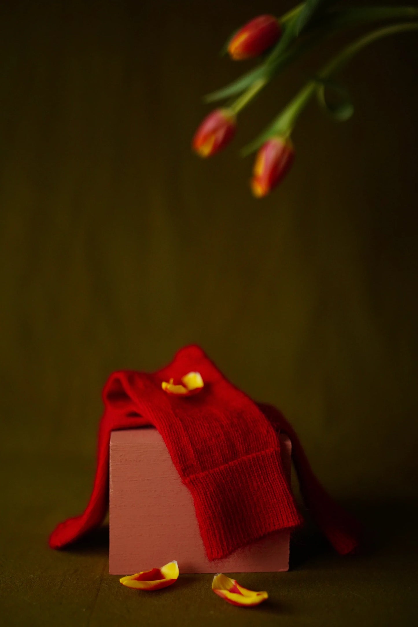 SOCKS - SCARLET