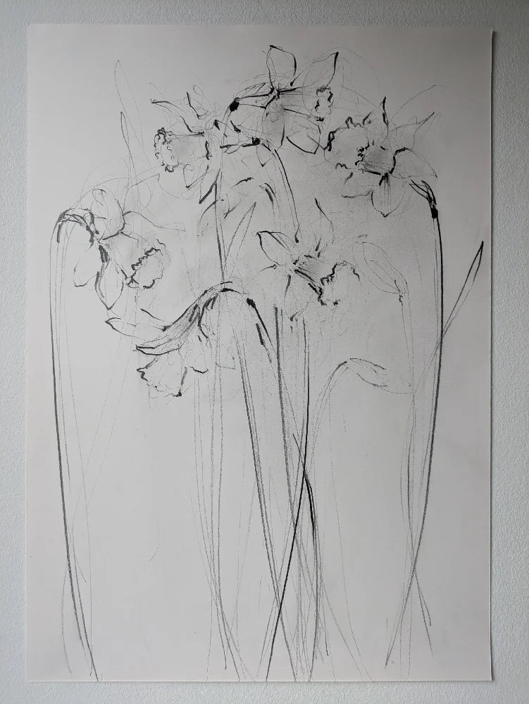 Daffodils III original illustration by Claudia Lowry