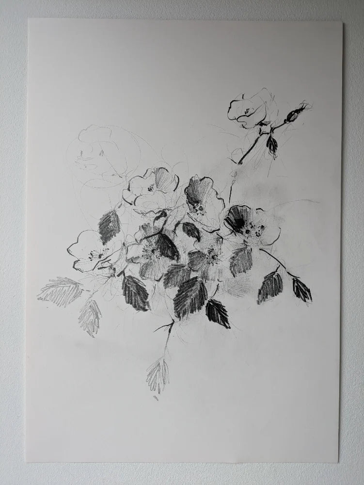 Wild Rose original illustration by Claudia Lowry