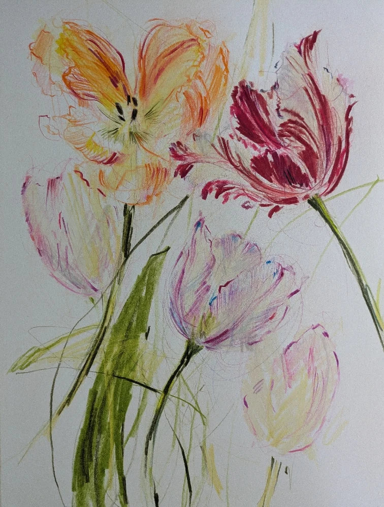 Tulips III original illustration by Claudia Lowry