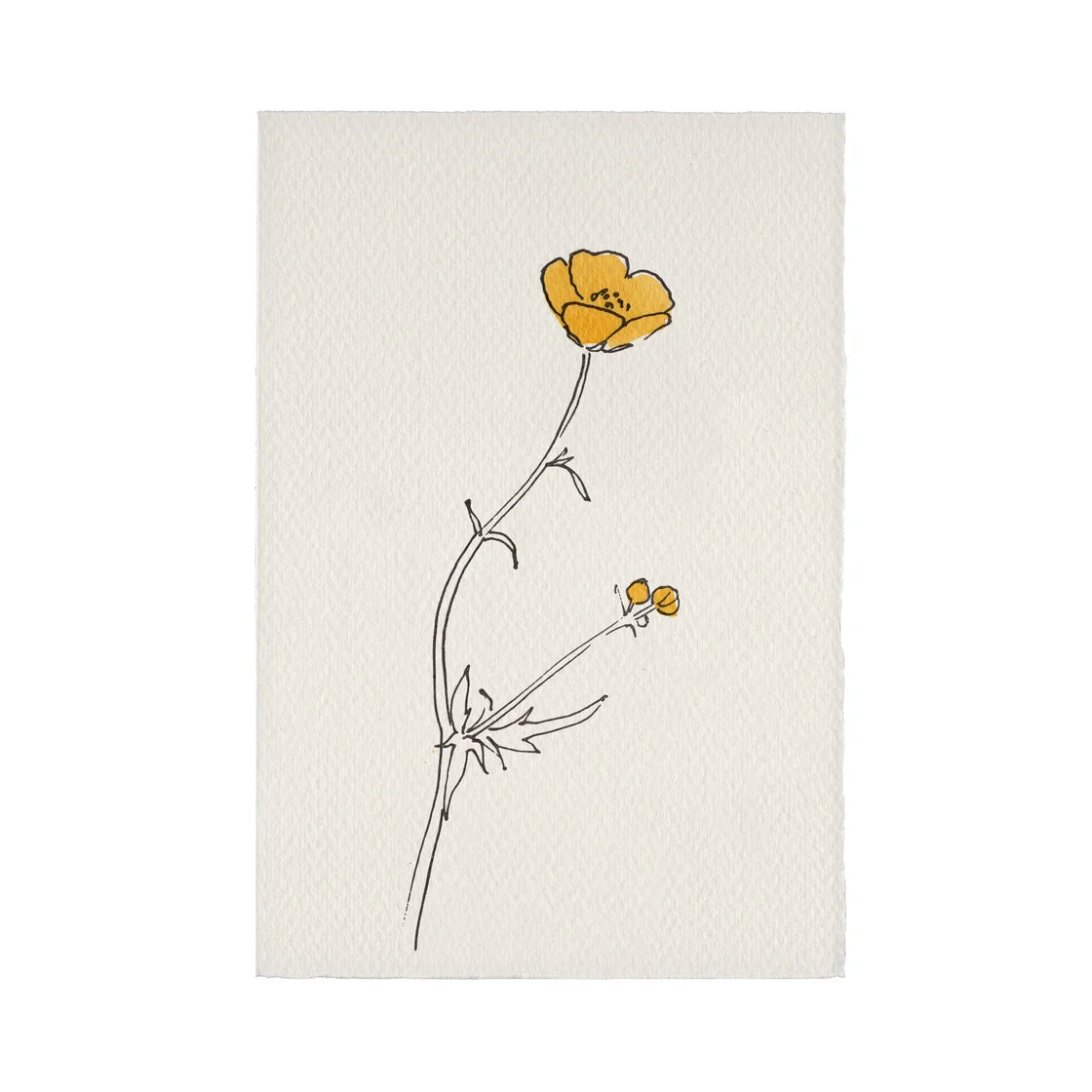 Buttercup card by Scribble & Daub