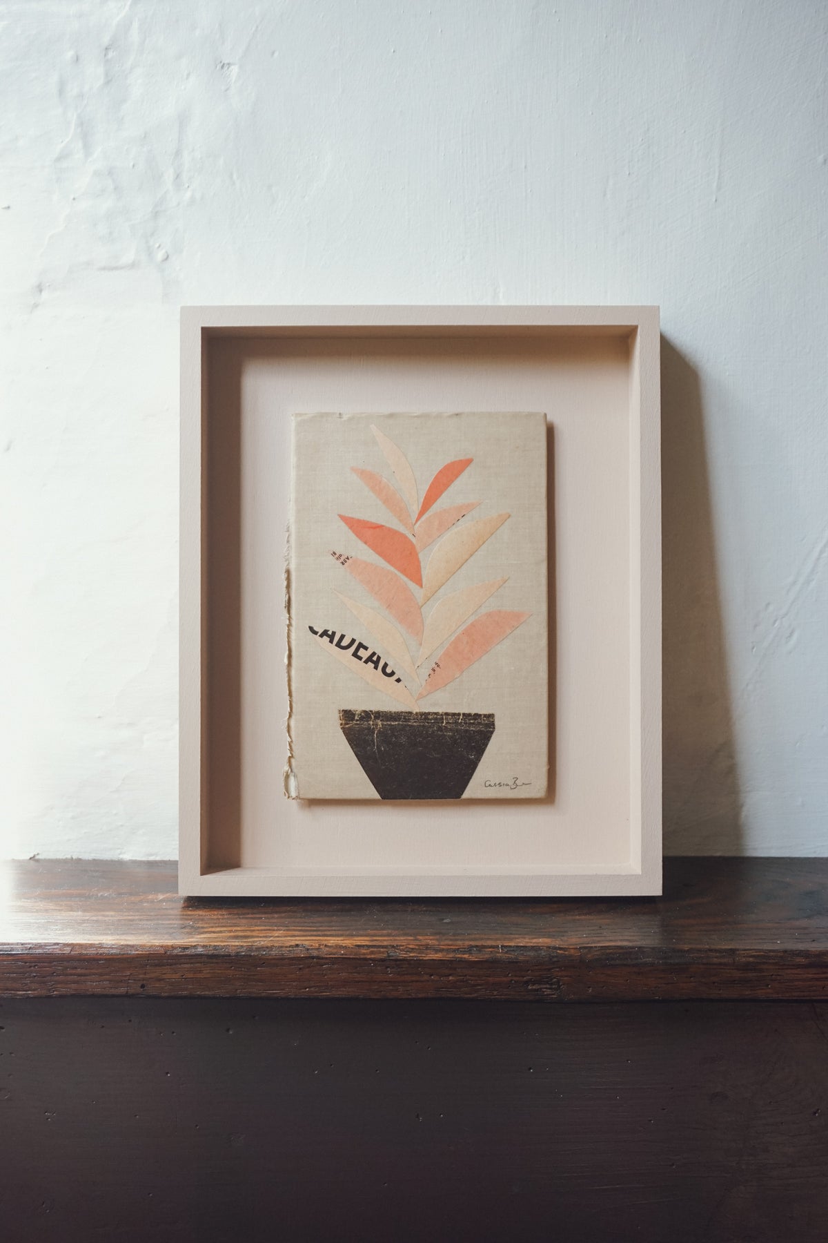 Houseplant by Cassia Beck