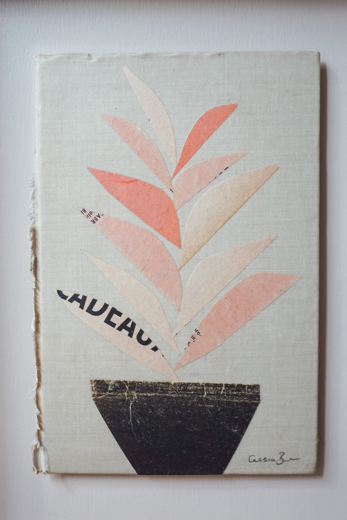 Houseplant by Cassia Beck