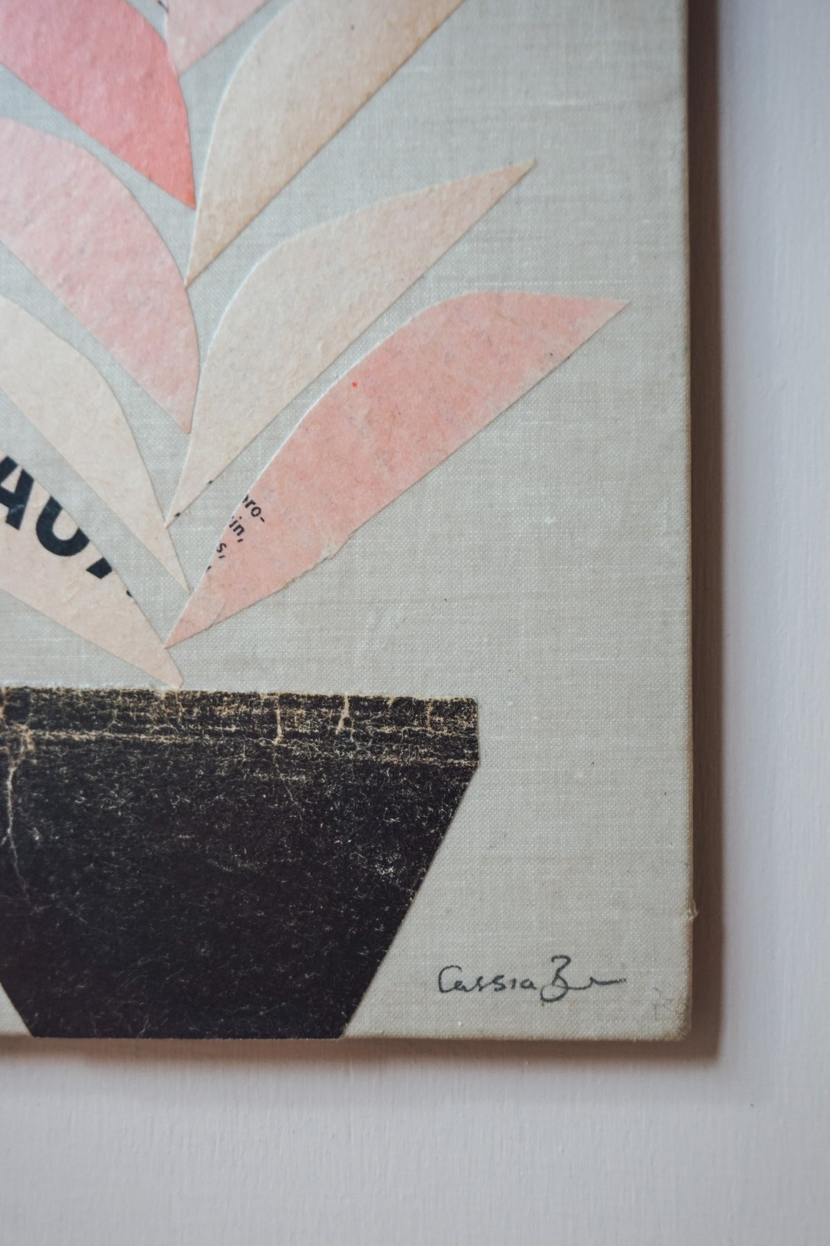 Houseplant by Cassia Beck