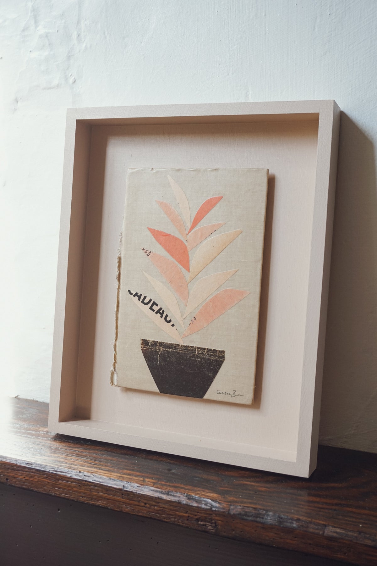 Houseplant by Cassia Beck