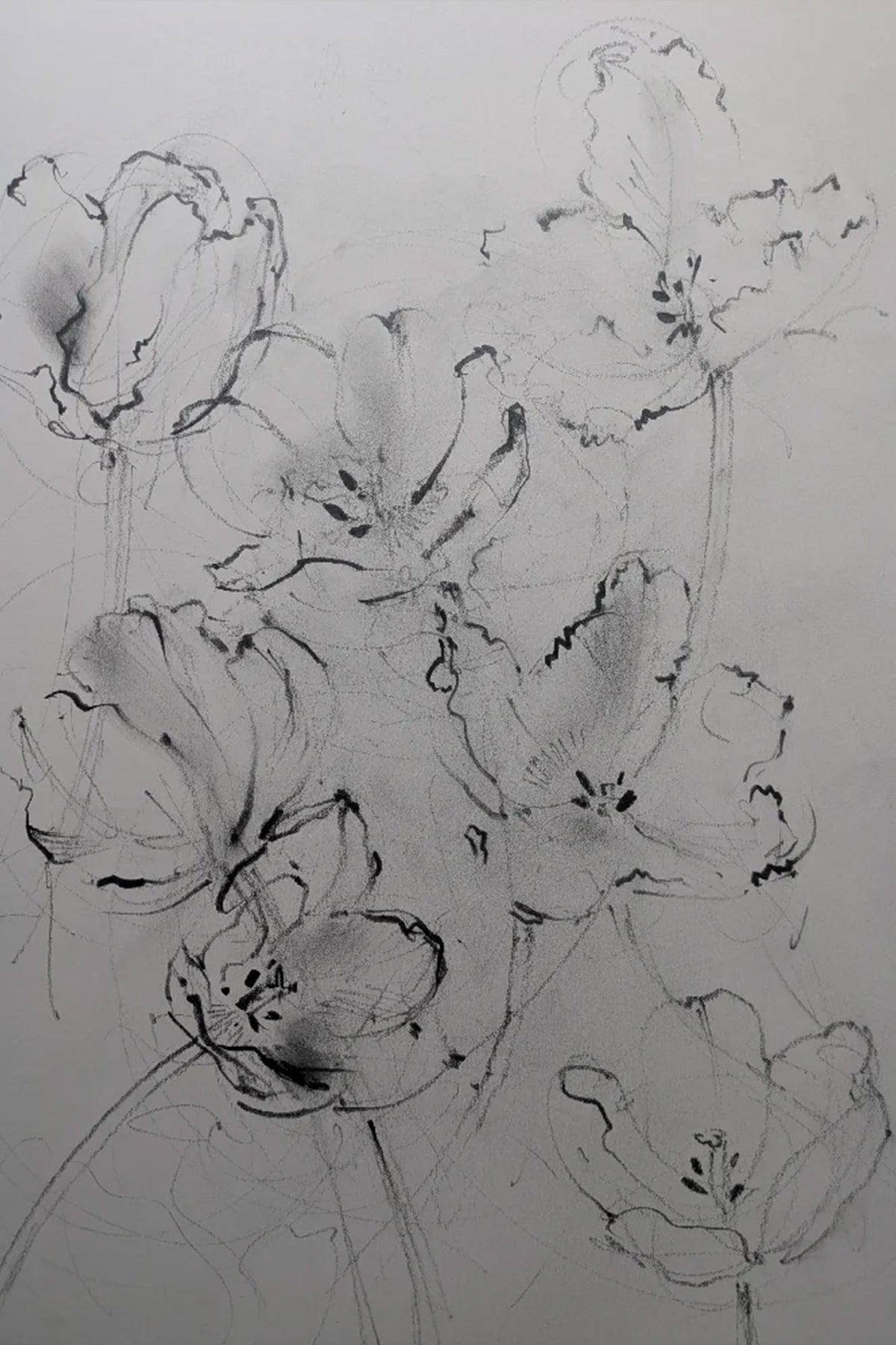 Tulips I original illustration by Claudia Lowry
