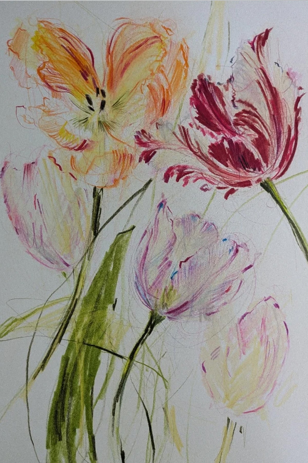 Tulips III original illustration by Claudia Lowry