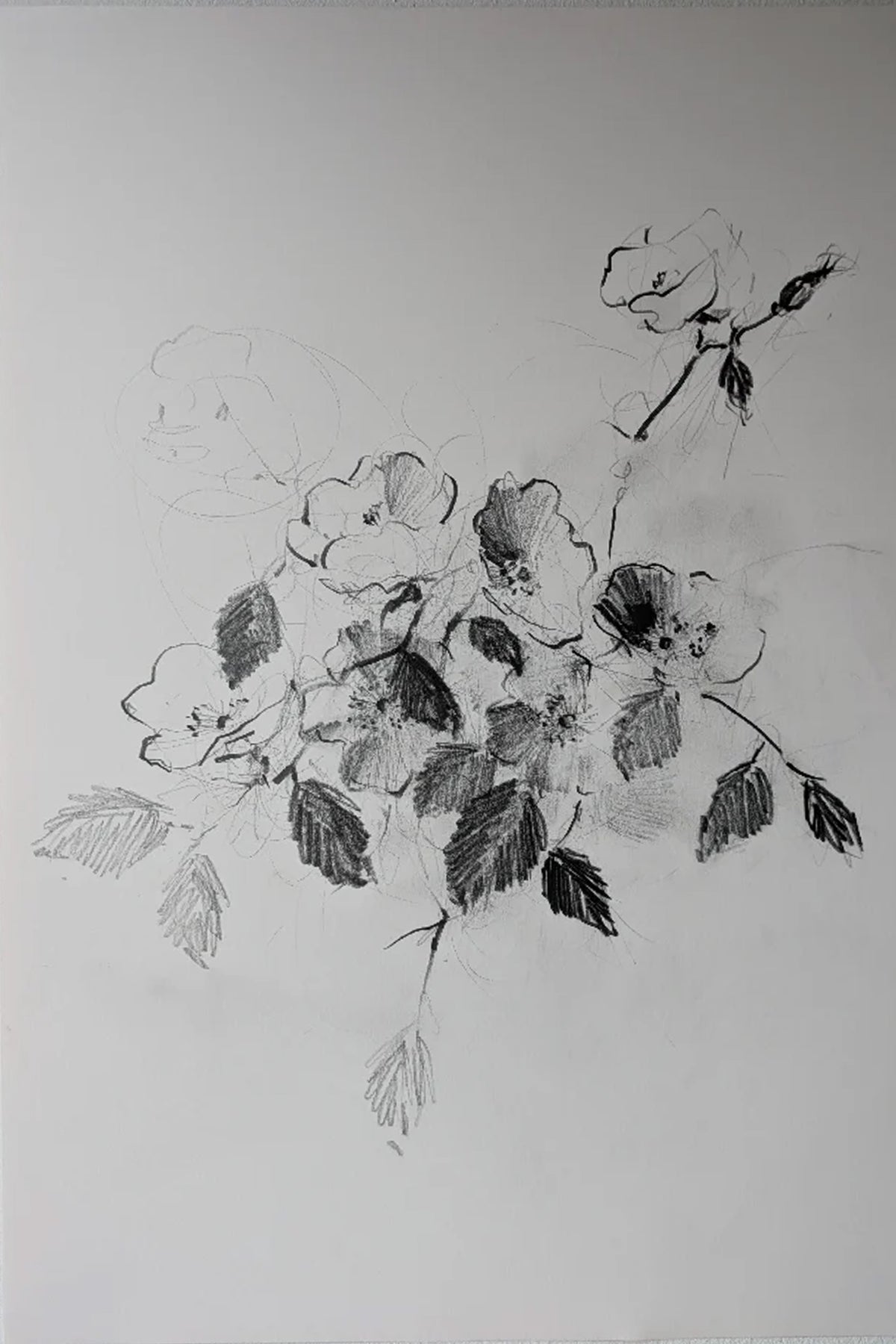 Wild Rose original illustration by Claudia Lowry