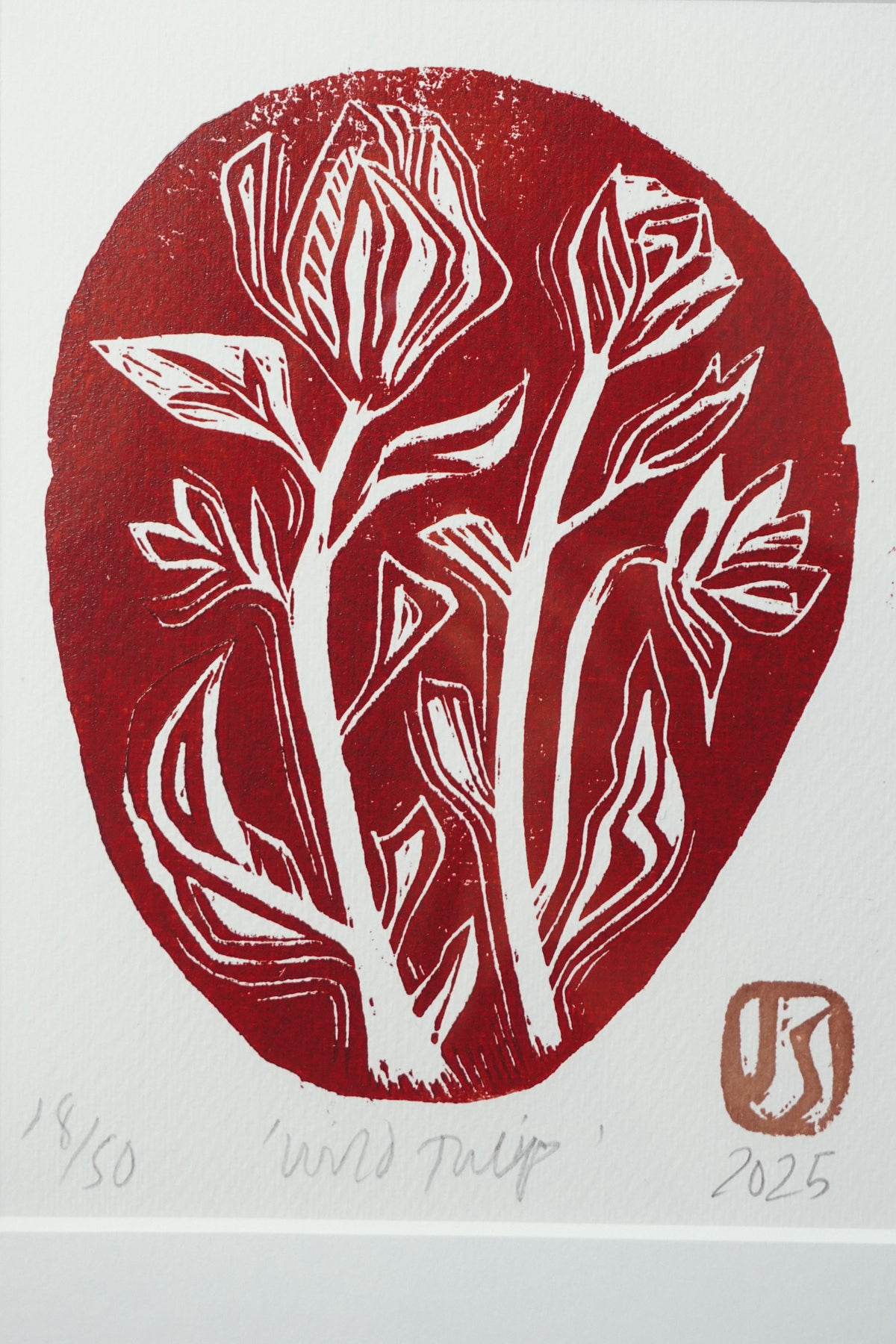 Wild Tulip by Jo Sweeting