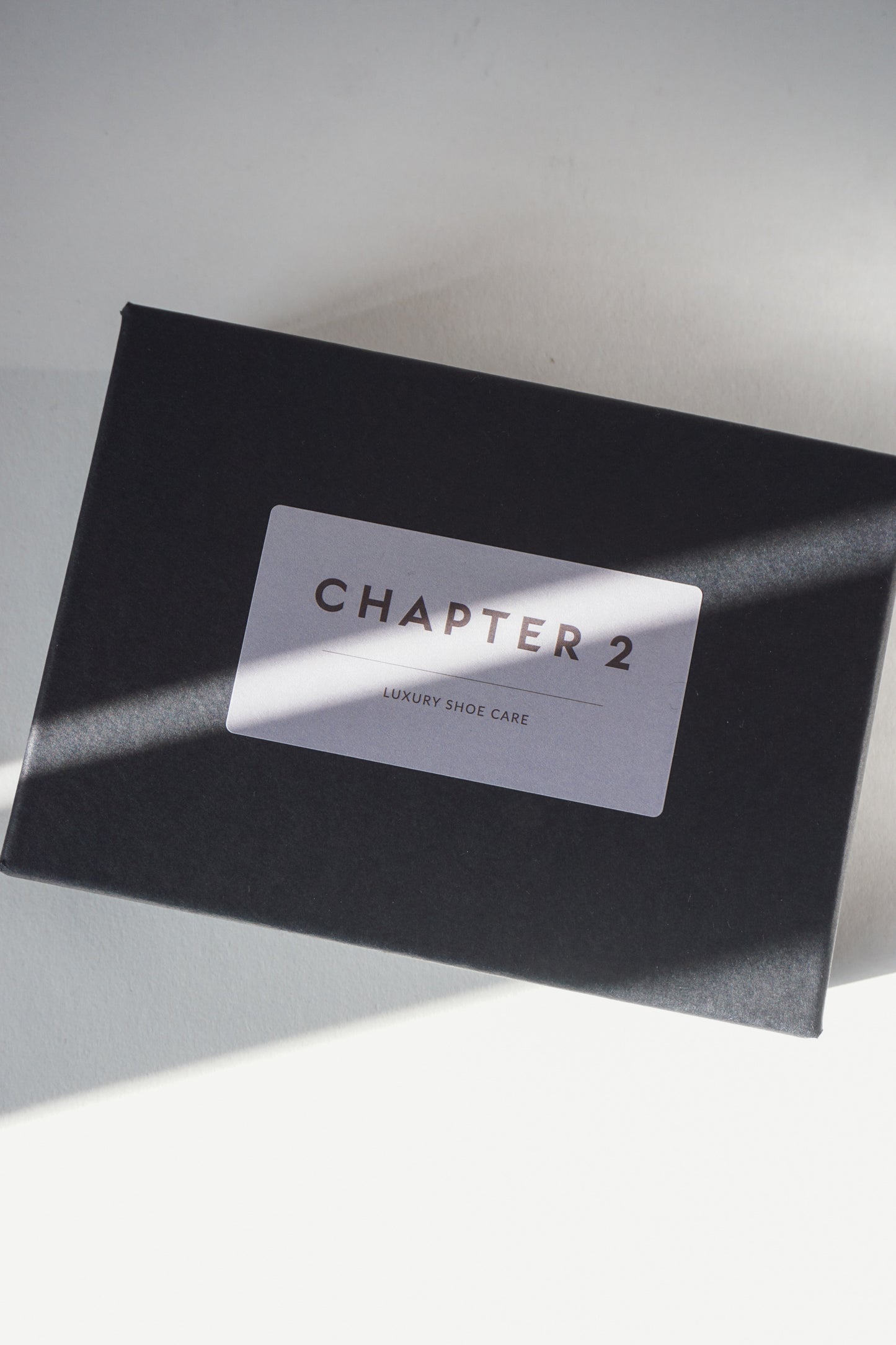 Premium Shoe Care Kit