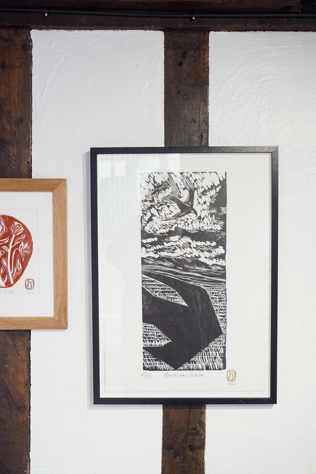 Hawk & Shadow by Jo Sweeting