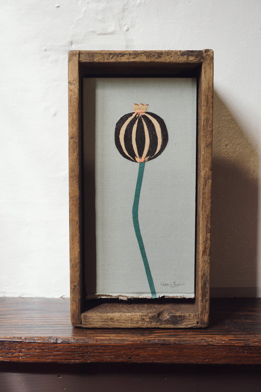 Poppy by Cassia Beck