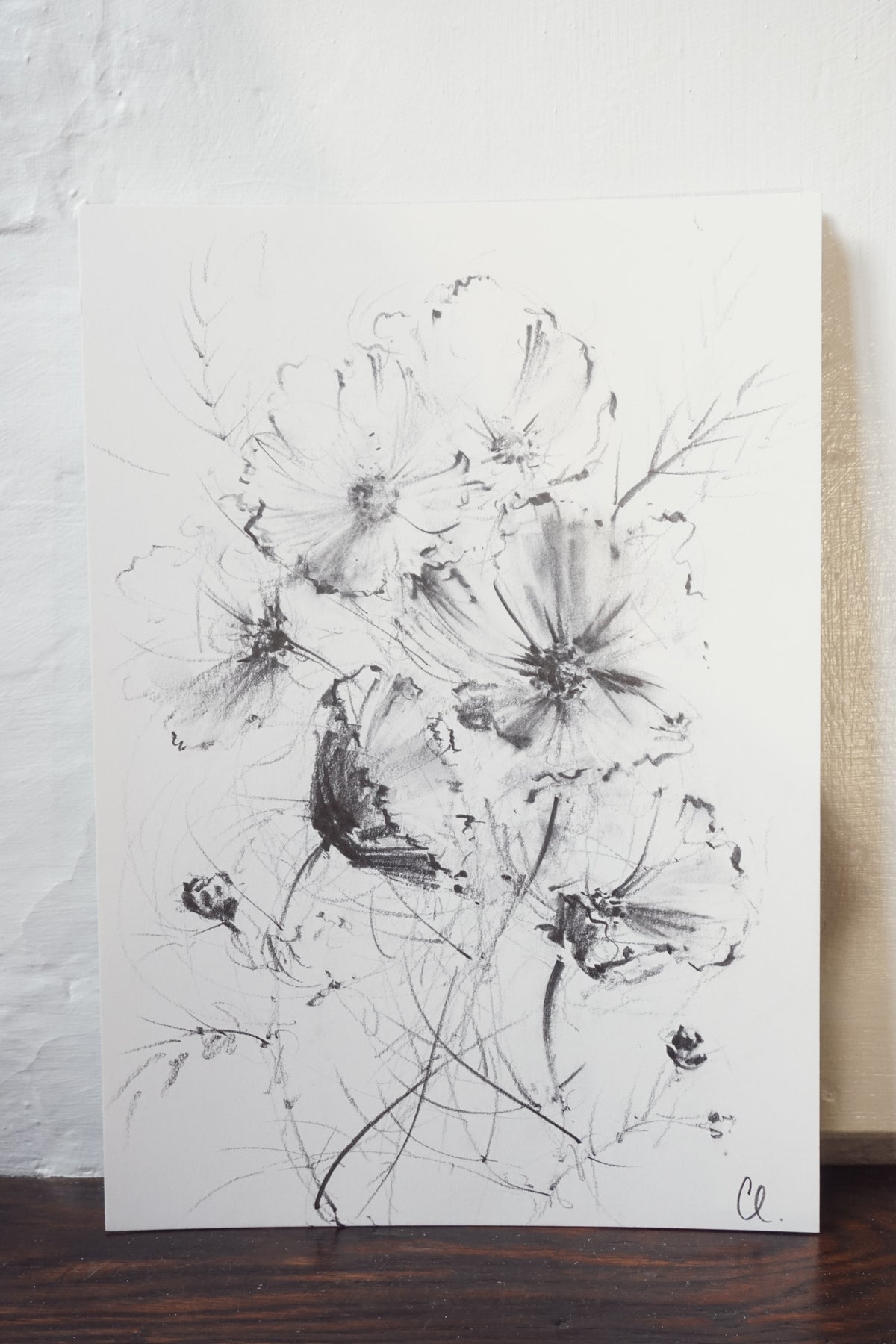 Cosmos original illustration by Claudia Lowry