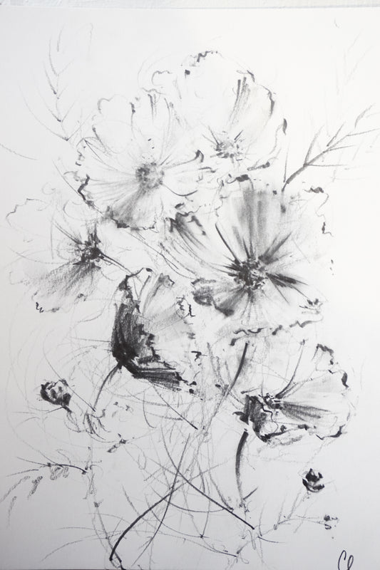 Cosmos original illustration by Claudia Lowry