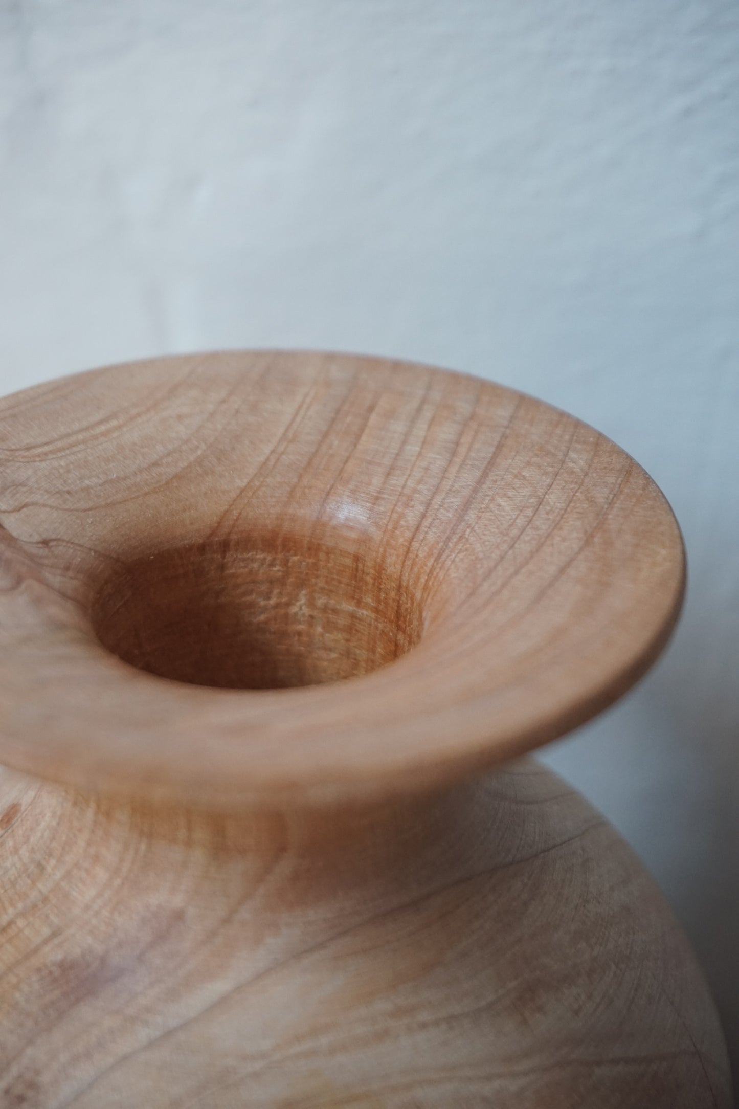 Laburnum Dried Flower Vase by G-Dad