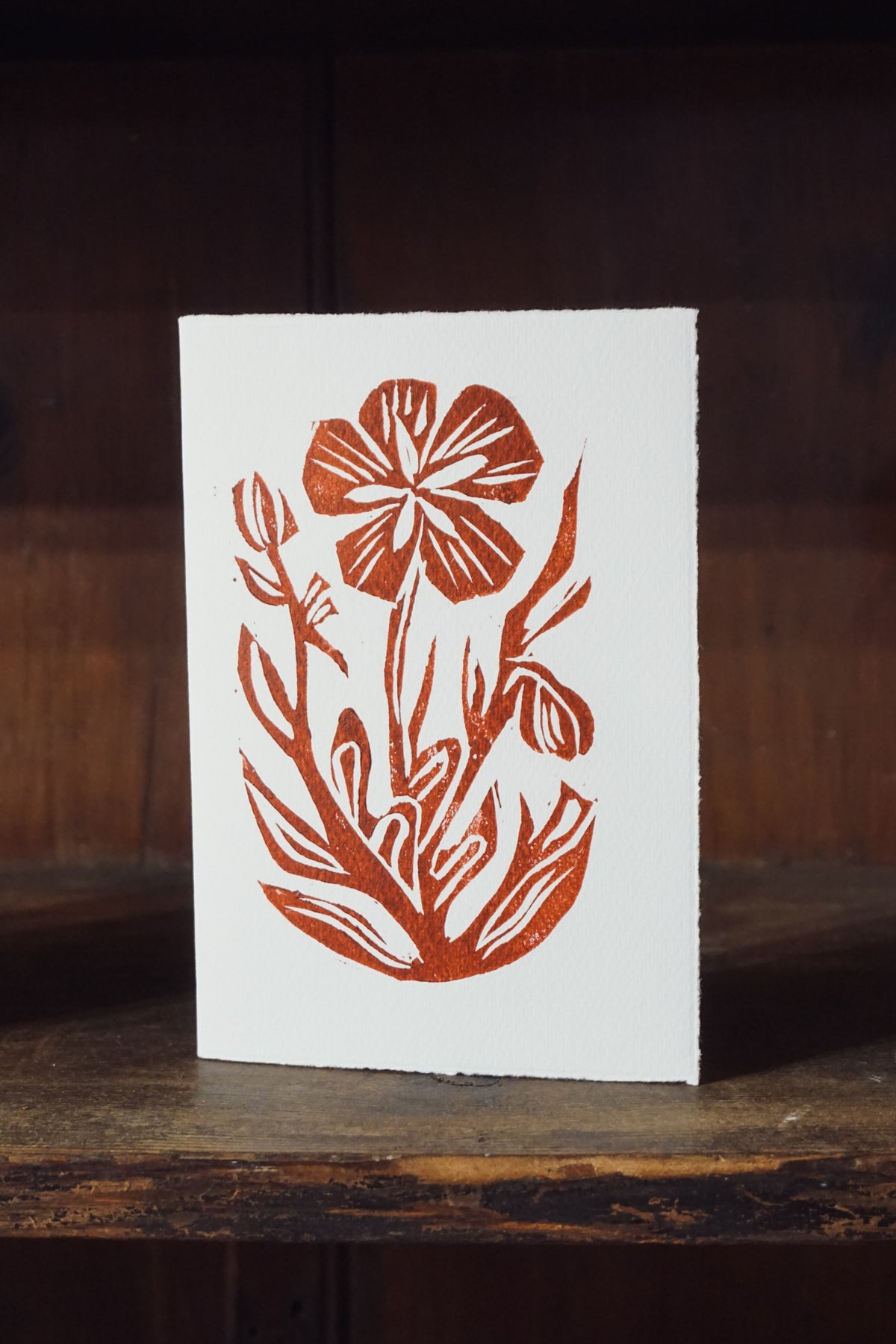 Woolf's Hellebore woodcut print card by Jo Sweeting