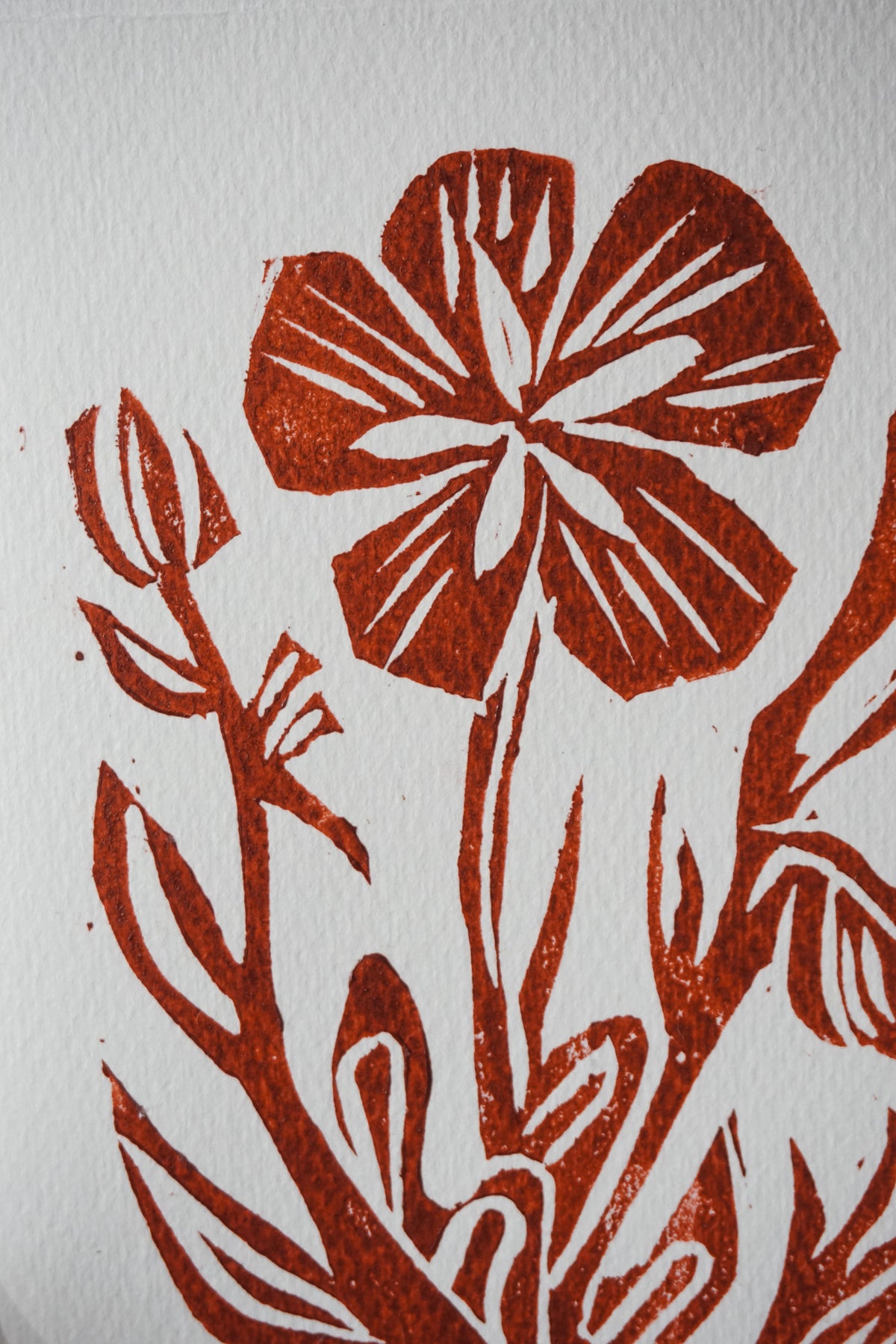 Woolf's Hellebore woodcut print card by Jo Sweeting