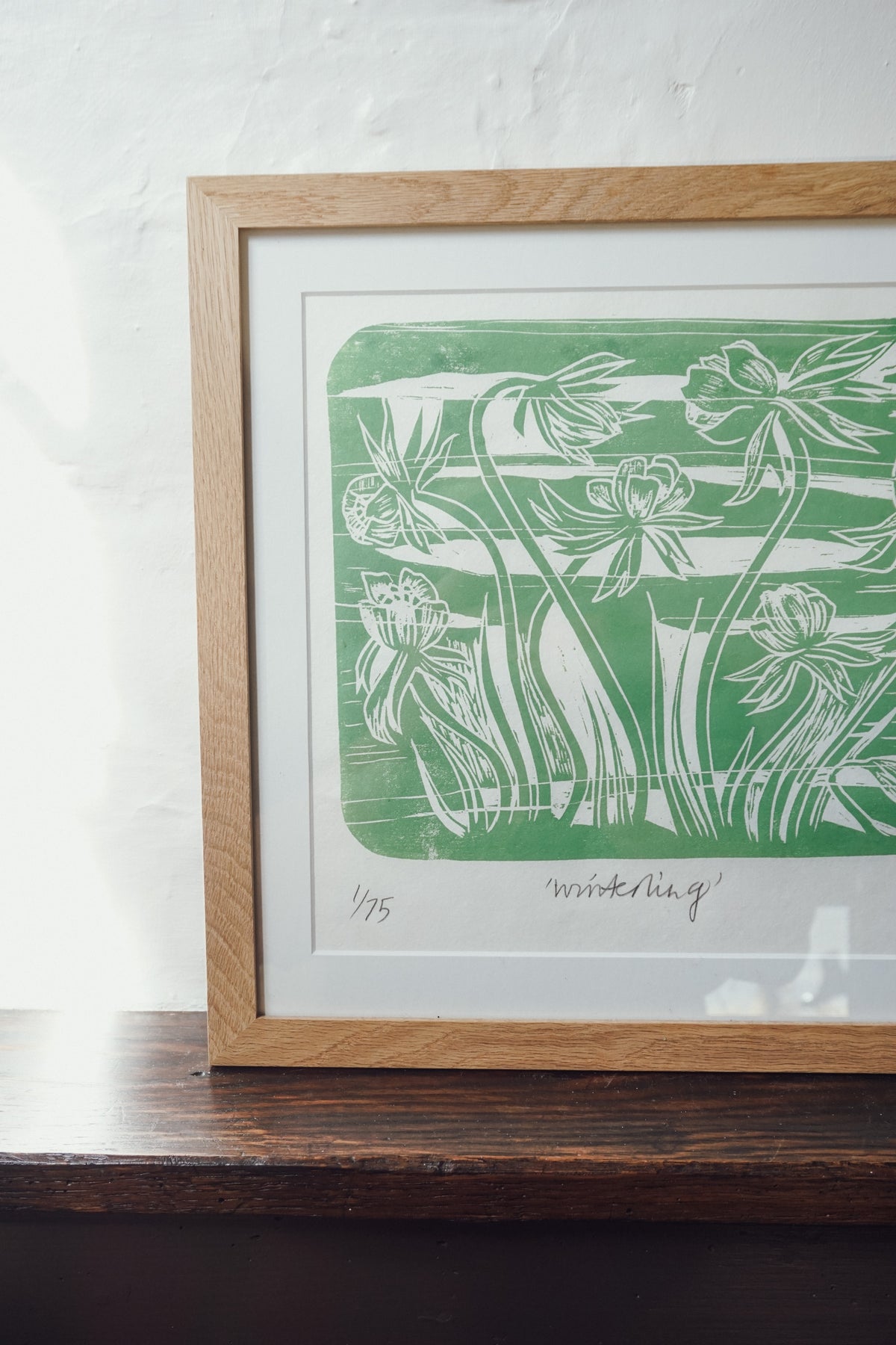 Winterling by Jo Sweeting