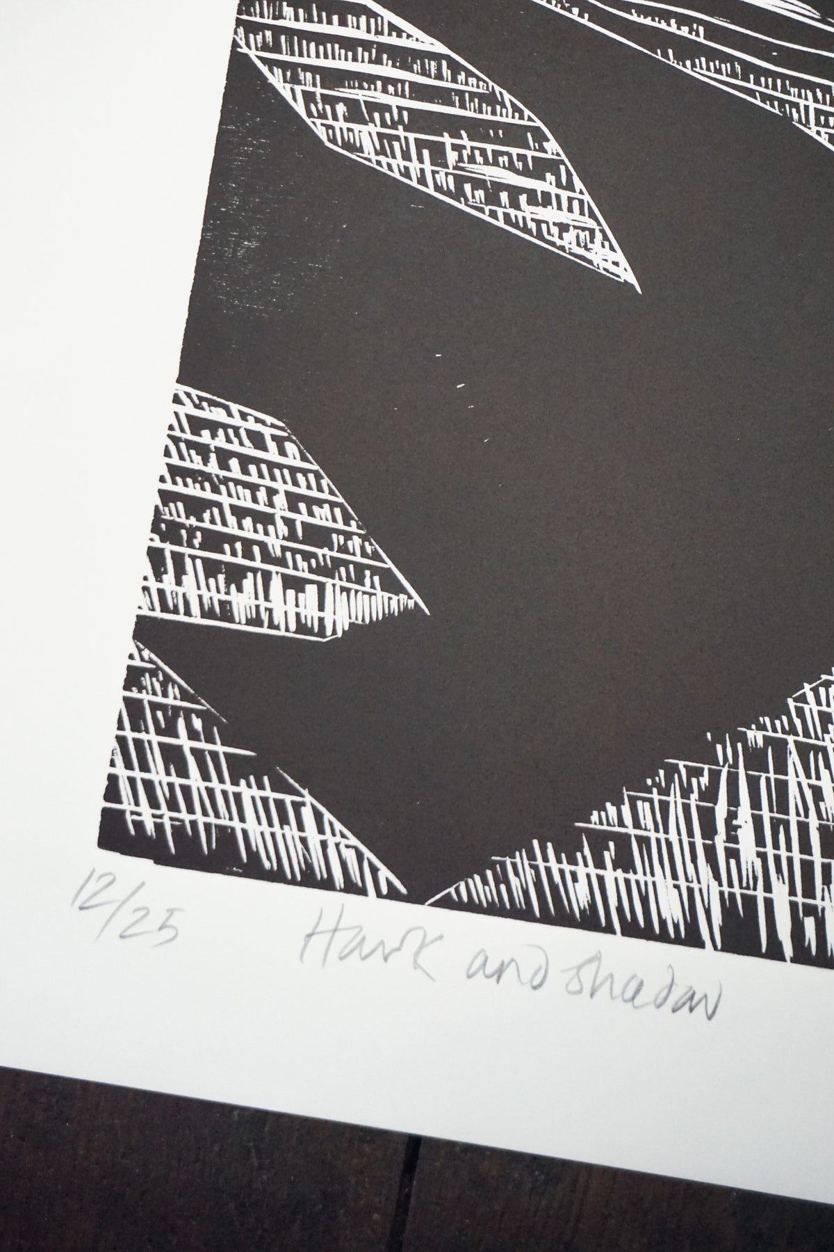 Hawk & Shadow by Jo Sweeting