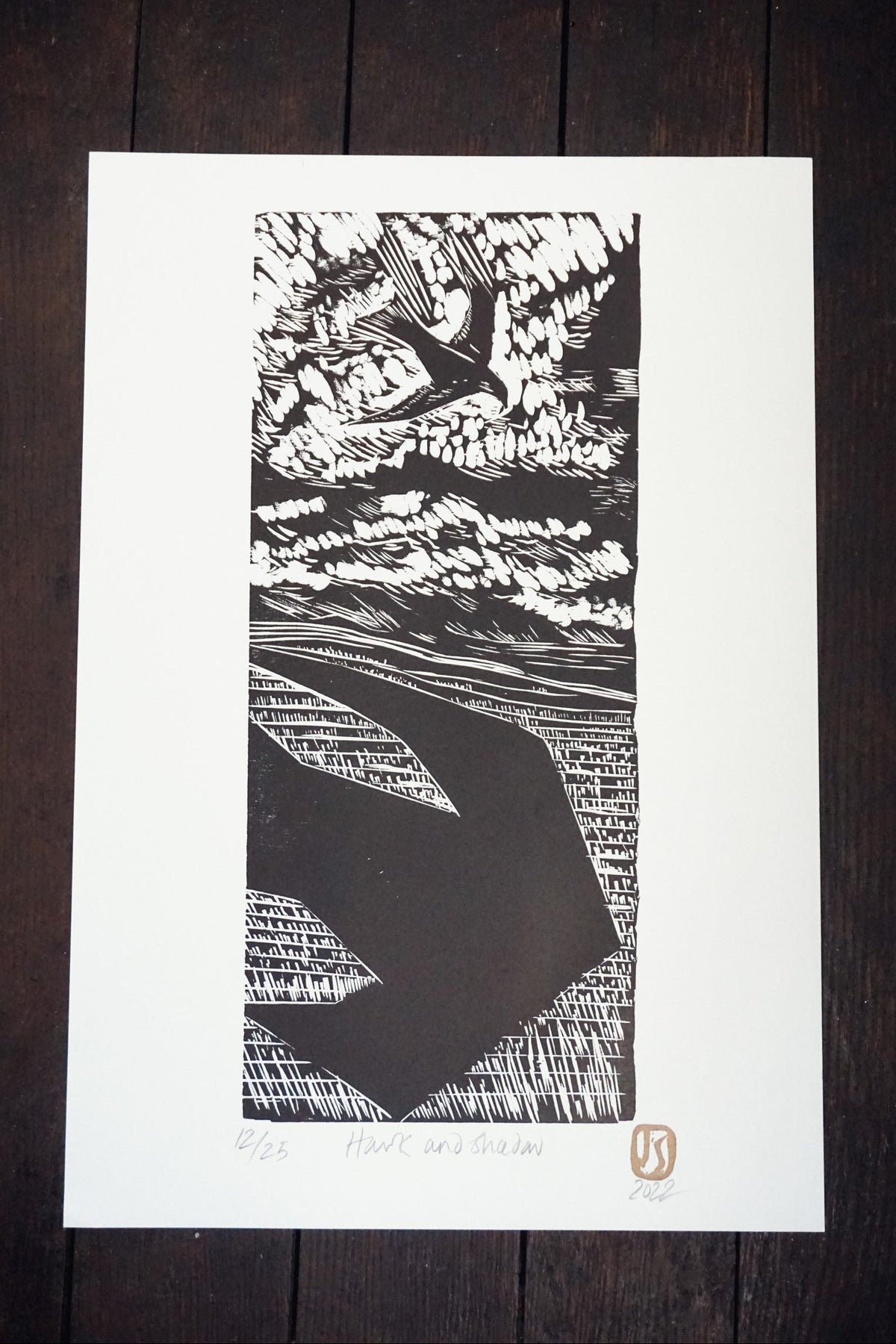 Hawk & Shadow by Jo Sweeting