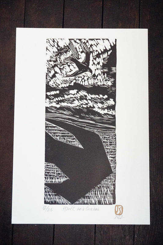Hawk & Shadow by Jo Sweeting