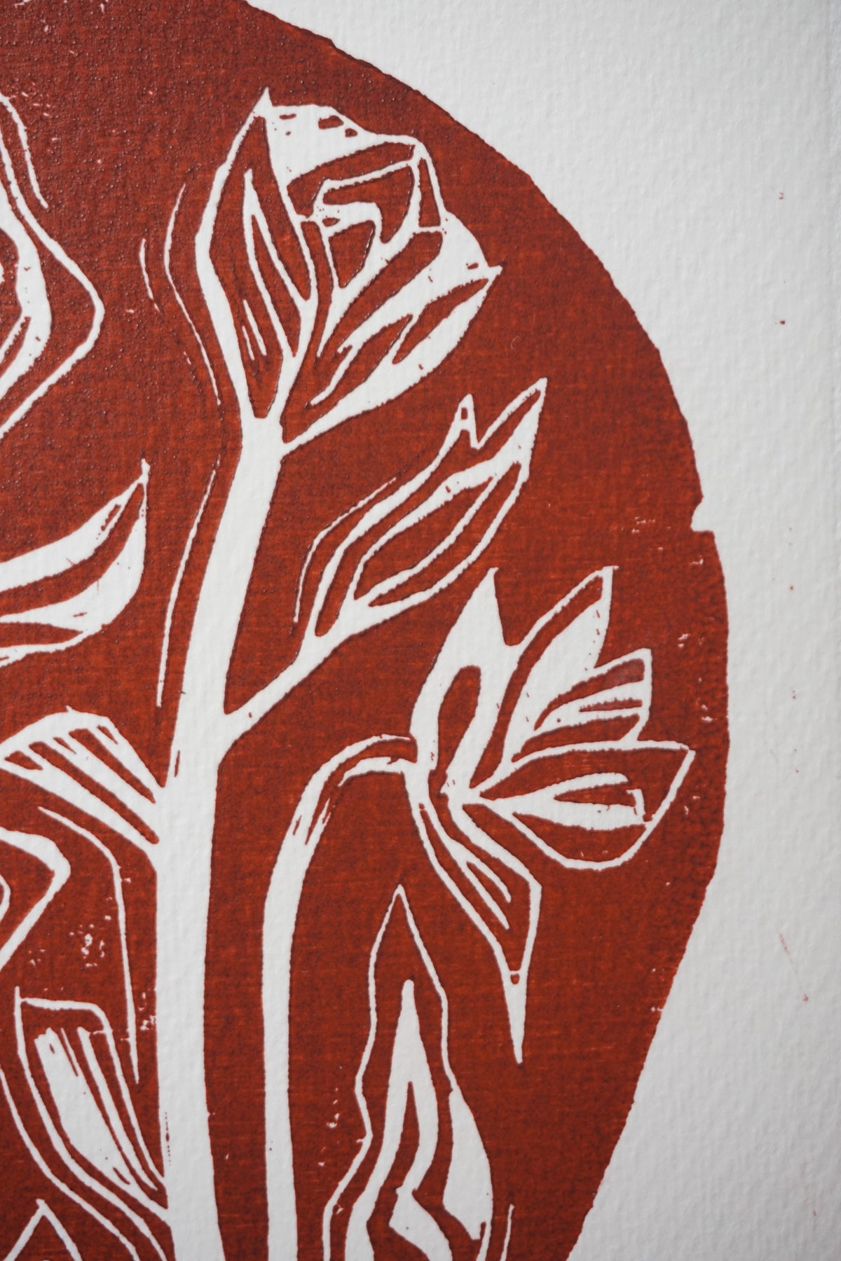 Rock Garden woodcut prints by Jo Sweeting