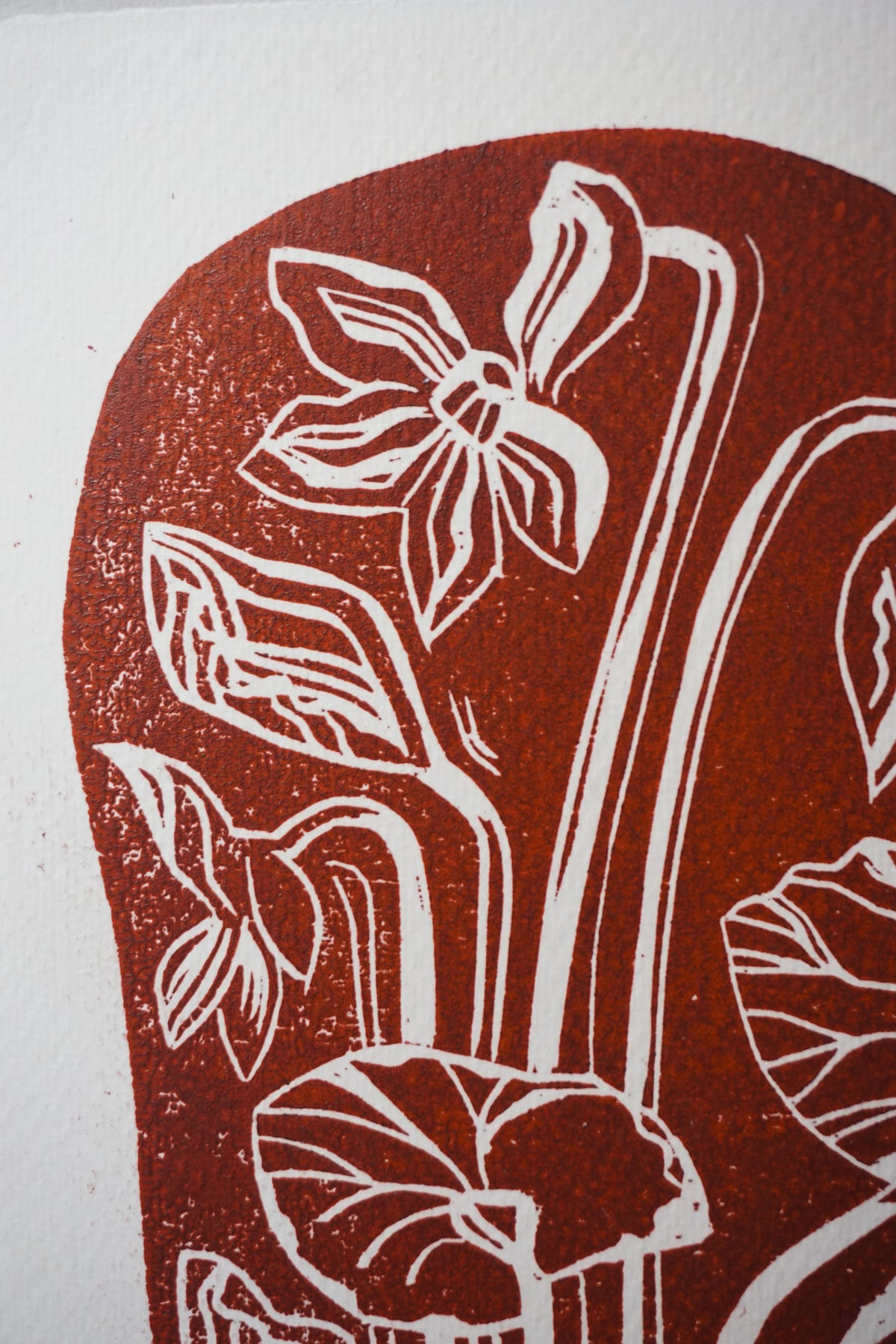 Rock Garden woodcut prints by Jo Sweeting