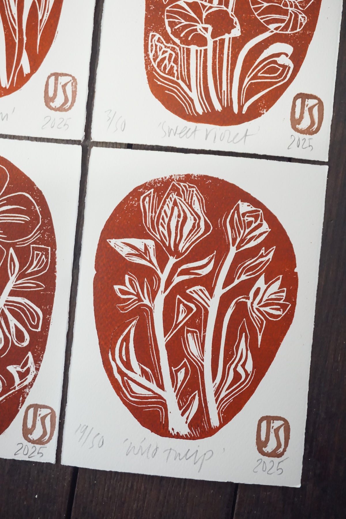 Rock Garden woodcut prints by Jo Sweeting