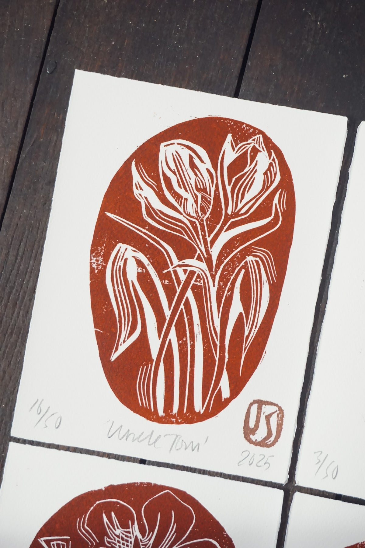 Rock Garden woodcut prints by Jo Sweeting