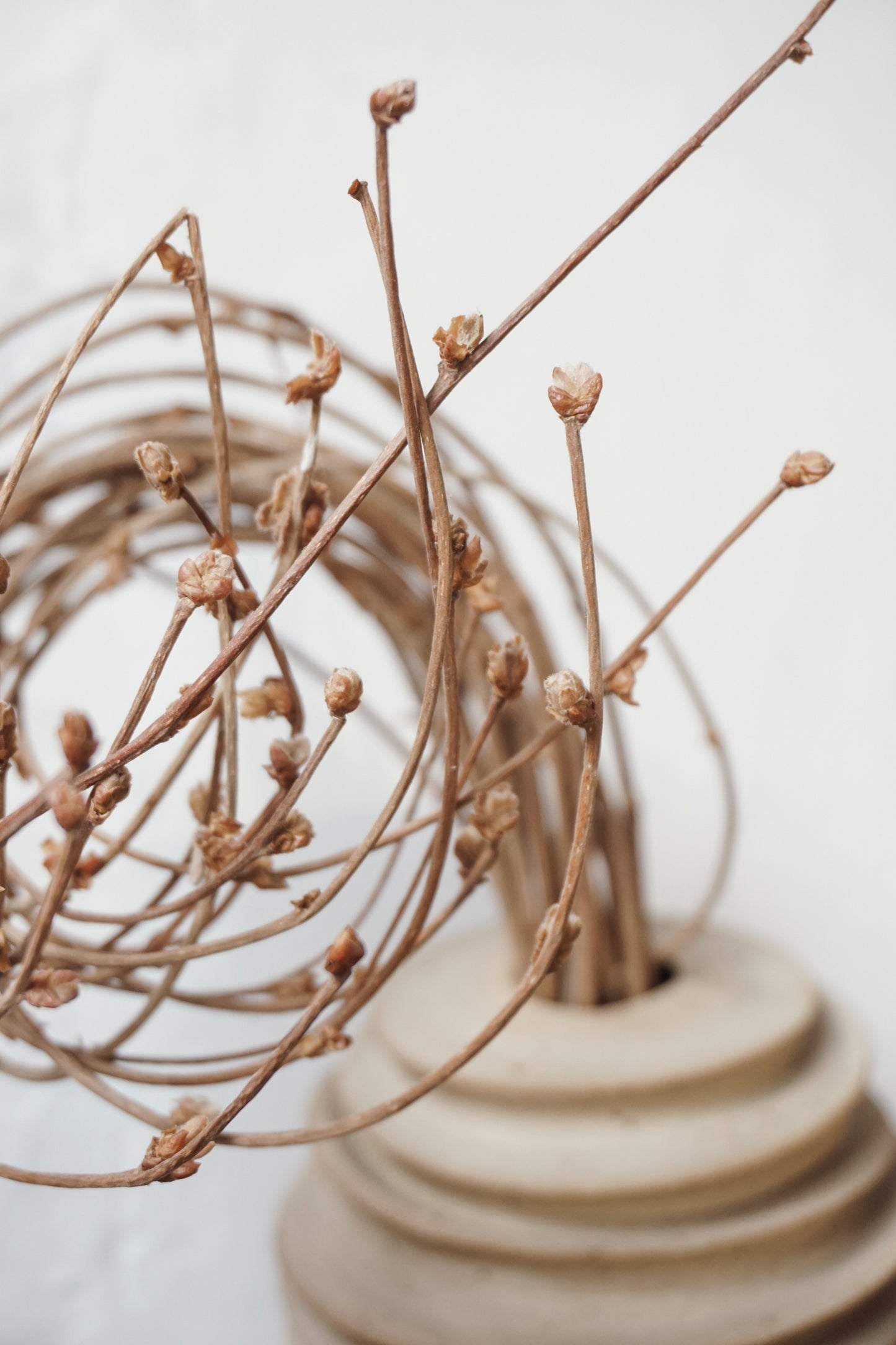 Wild Sussex Clay Vase by Kate McMinnies
