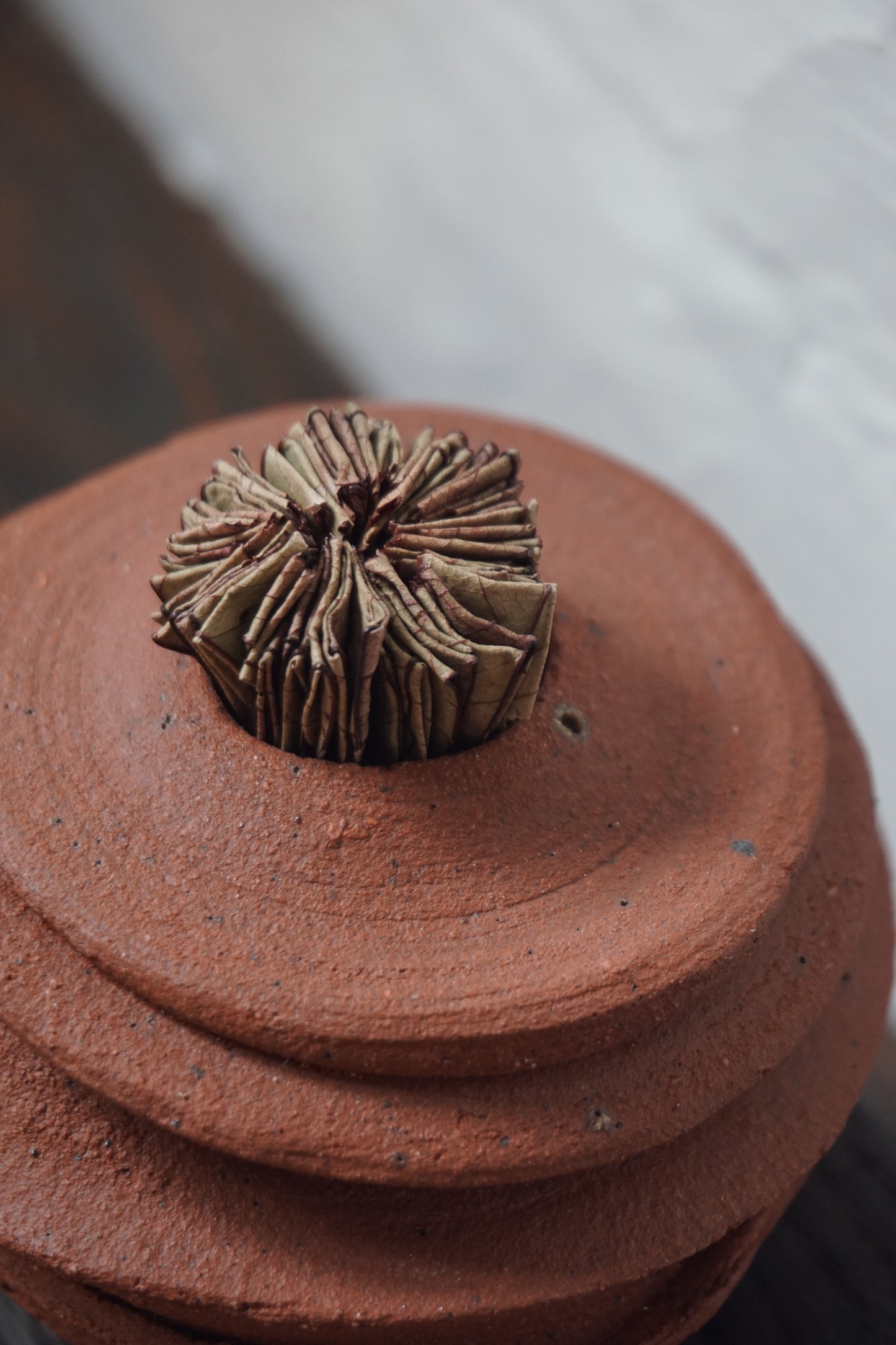 Wild Sussex Clay Vase by Kate McMinnies