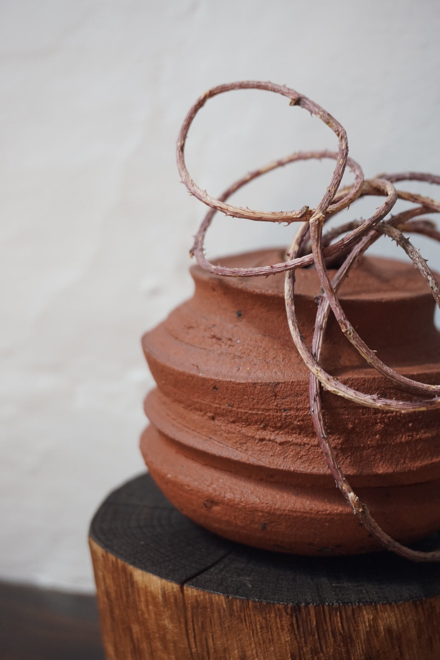 Wild Sussex Clay Vase by Kate McMinnies
