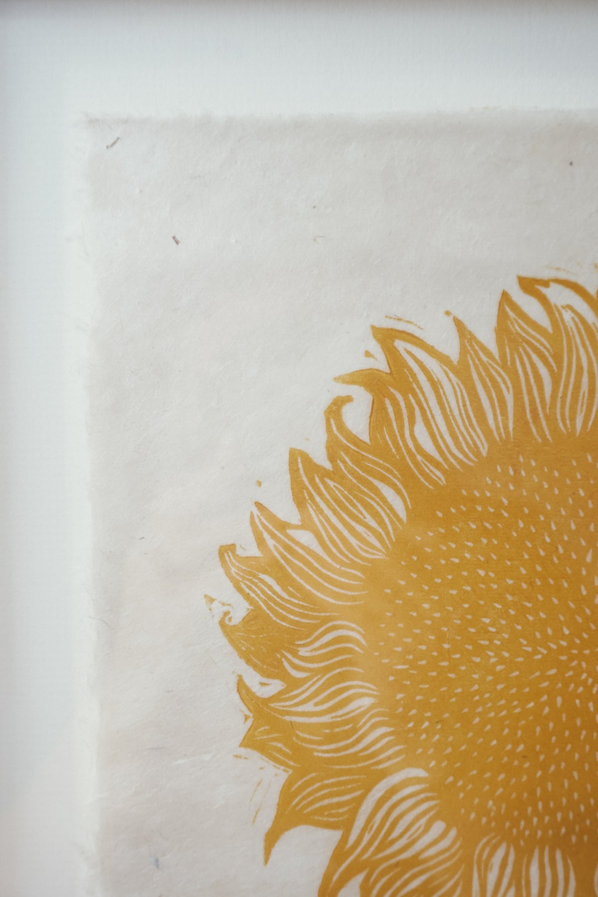 Sun by Rosanna Morris