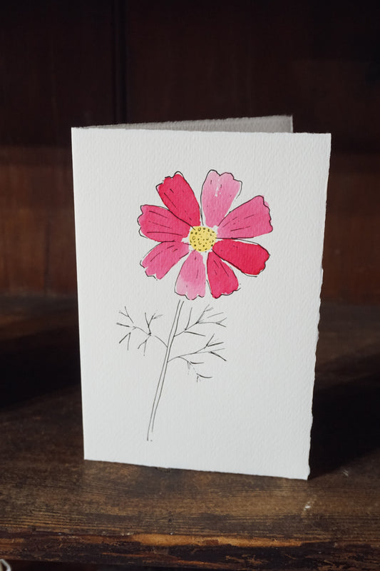 Cosmos card by Scribble & Daub