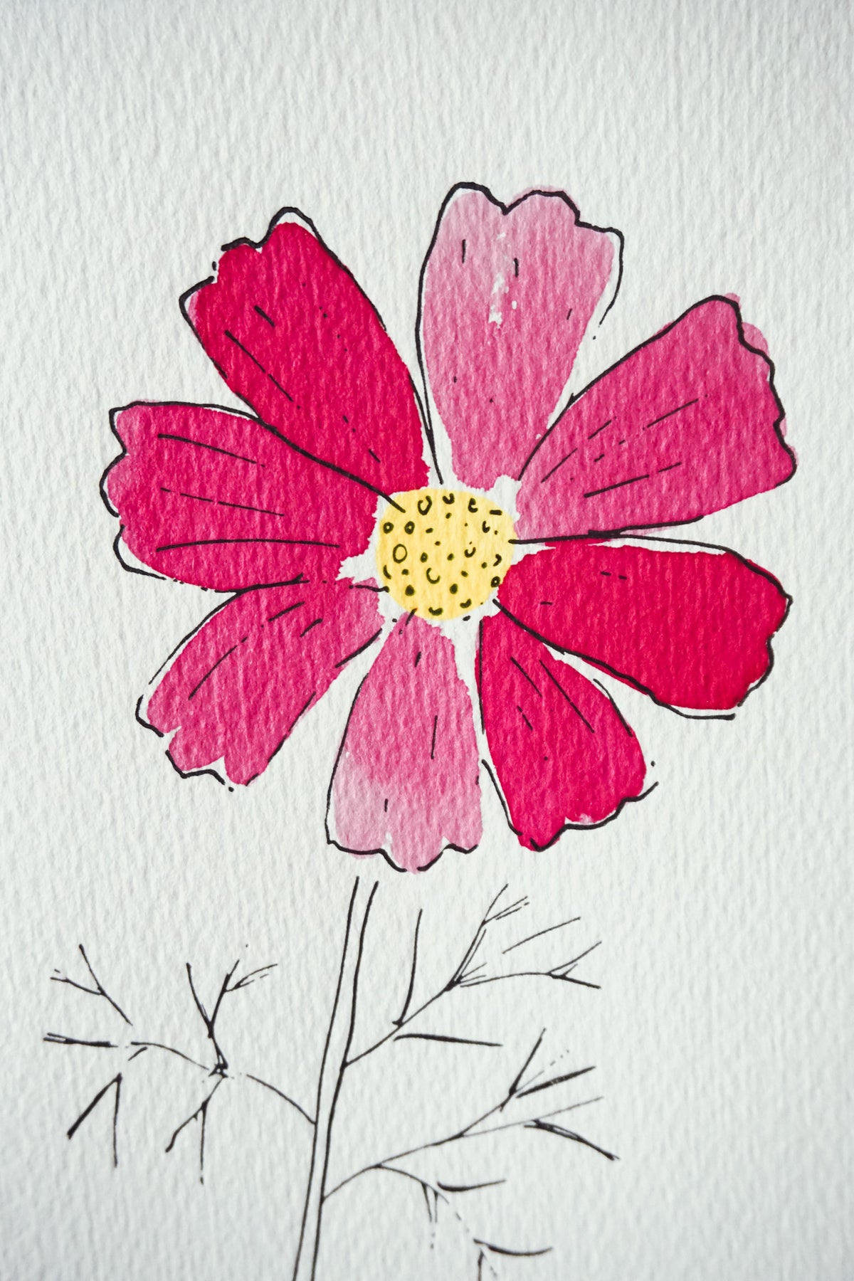 Cosmos card by Scribble & Daub
