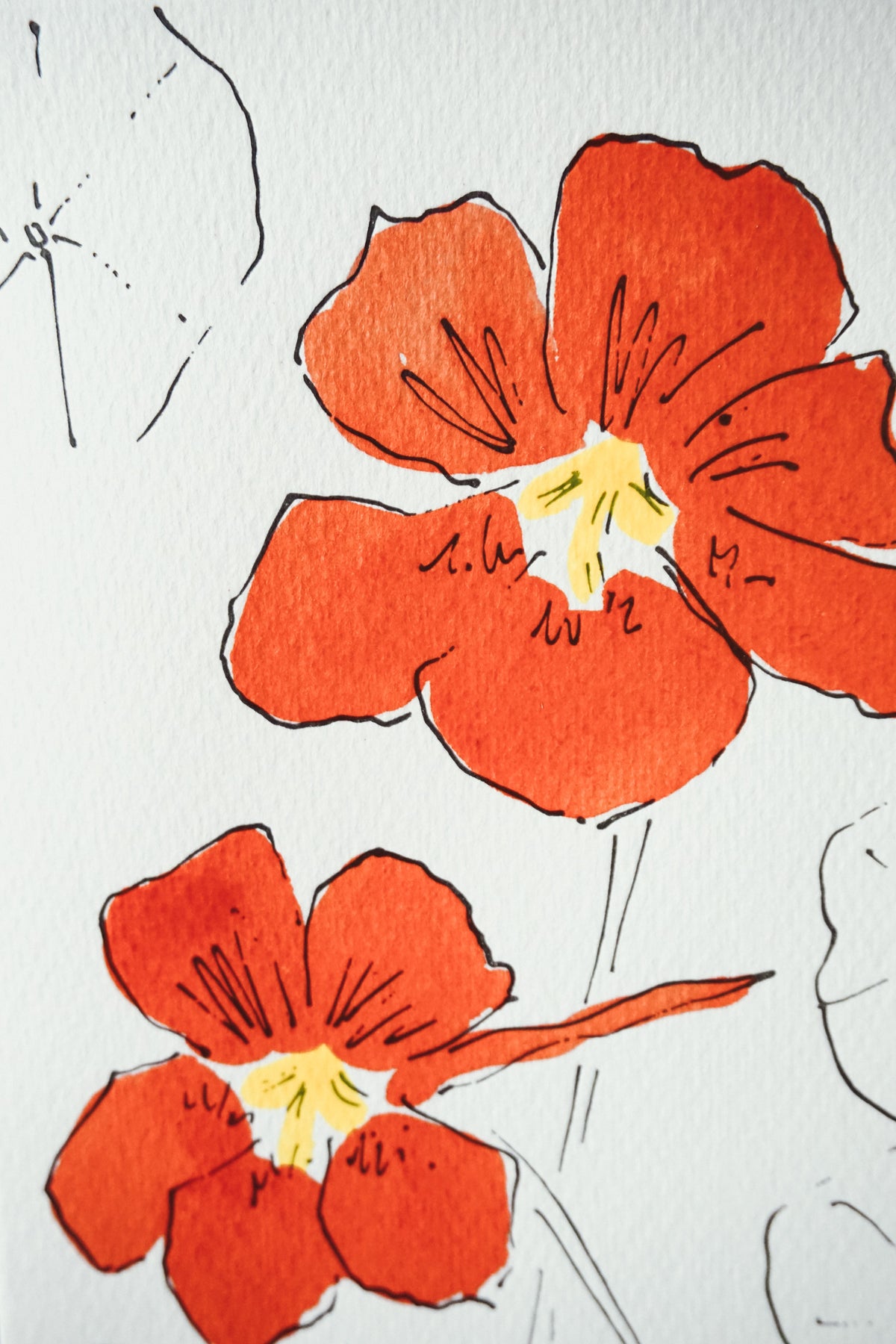 Nasturtiums card by Scribble & Daub