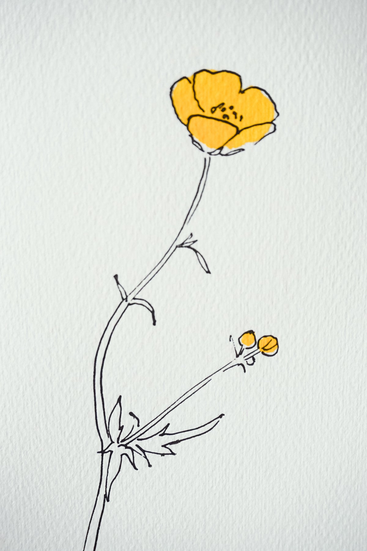 Buttercup card by Scribble & Daub
