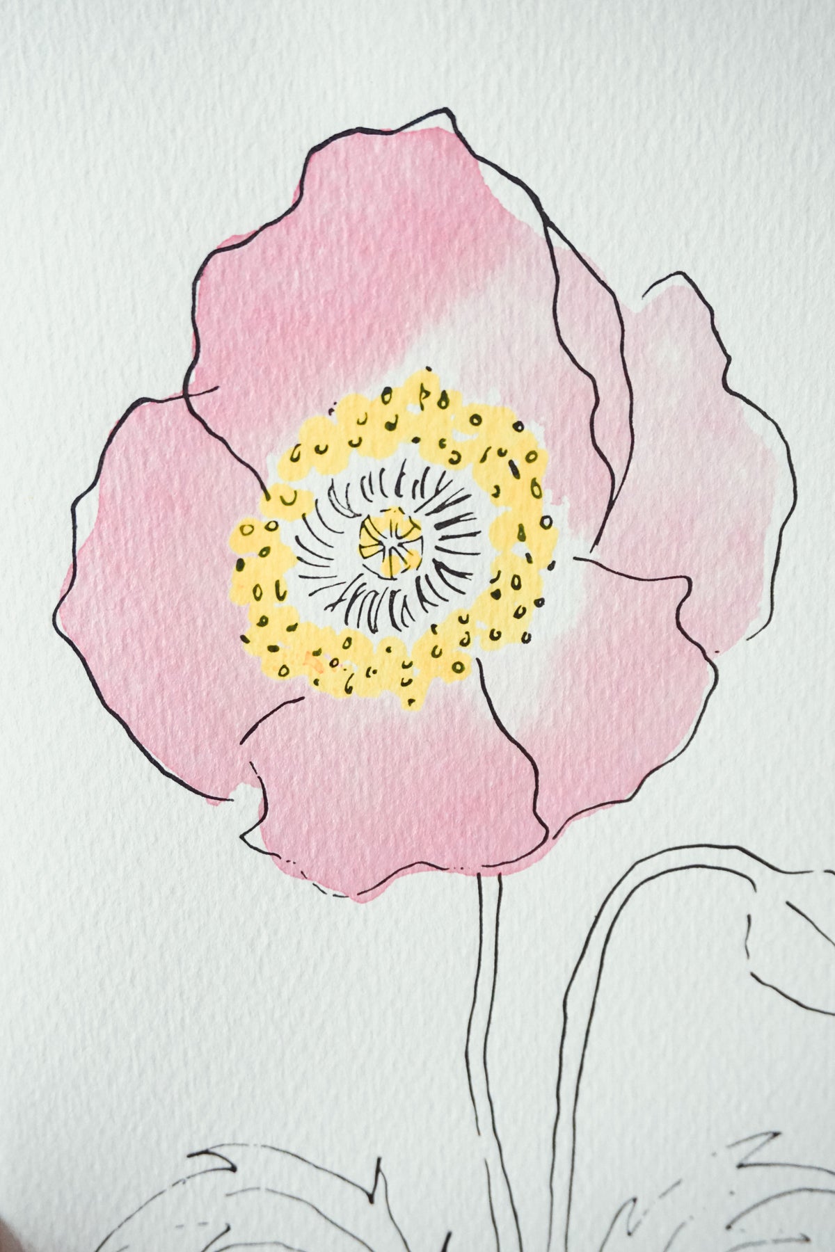 Oriental Poppy card by Scribble & Daub