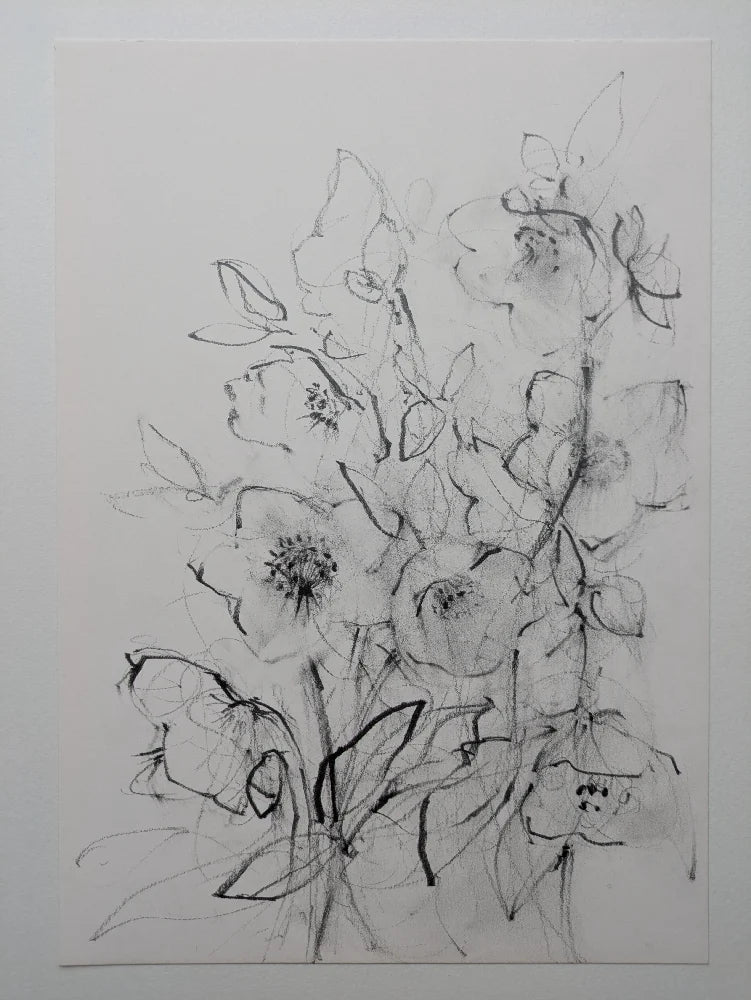 Hellebores original illustration by Claudia Lowry