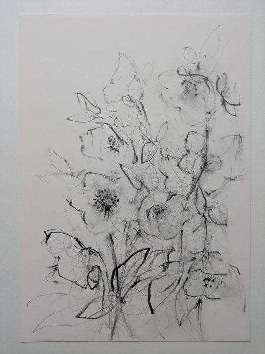 Hellebores original illustration by Claudia Lowry