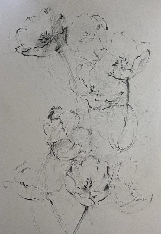 Tulips II original illustration by Claudia Lowry