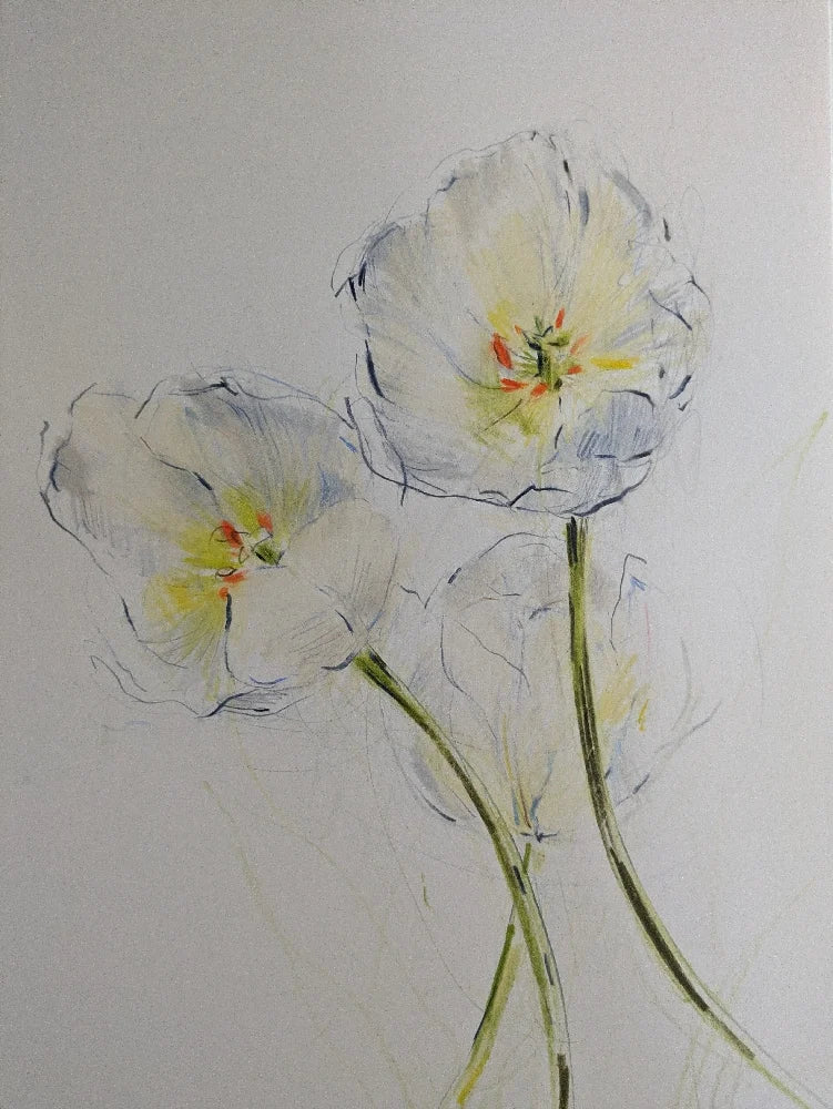 Tulips V original illustration by Claudia Lowry