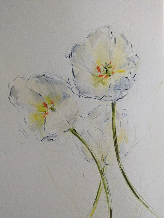 Tulips V original illustration by Claudia Lowry
