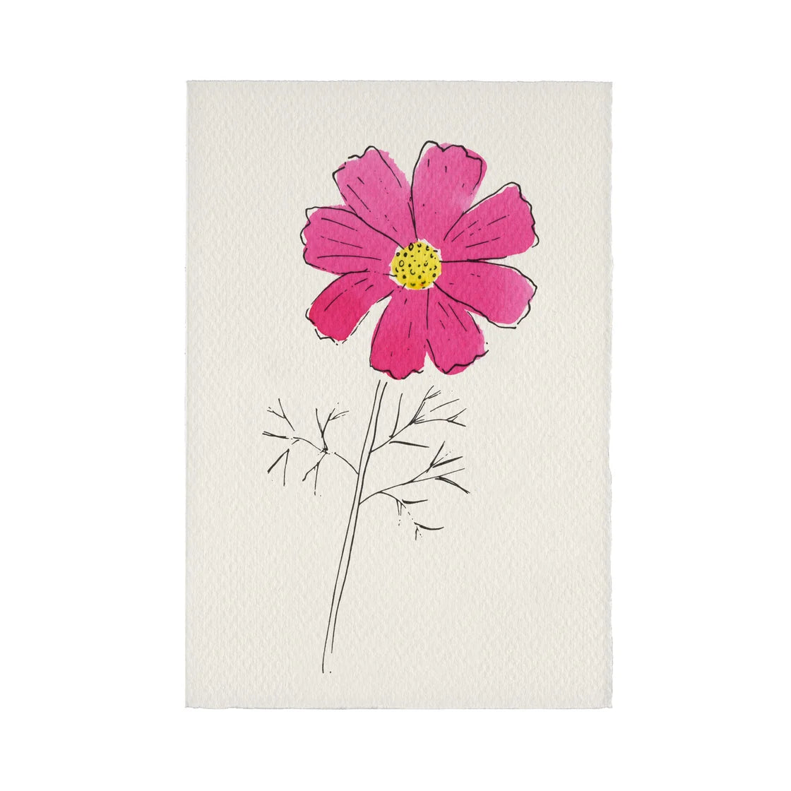 Cosmos card by Scribble & Daub