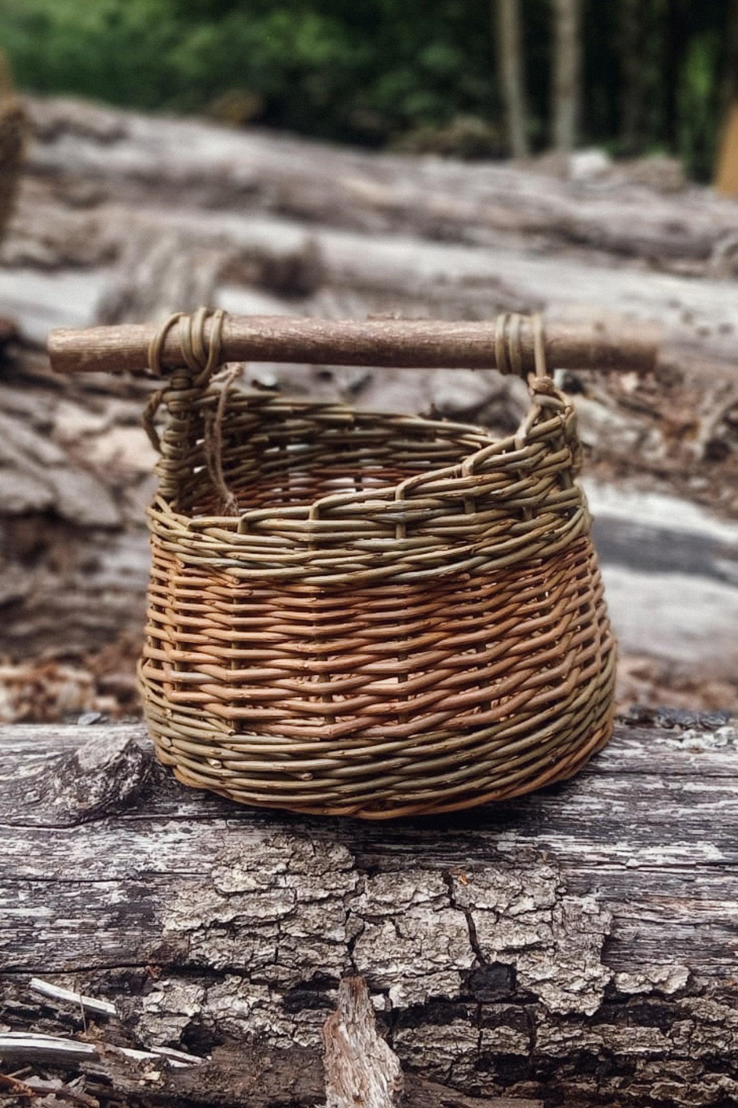 BASKET MAKING WORKSHOP - with Lisa Dear. 17th October
