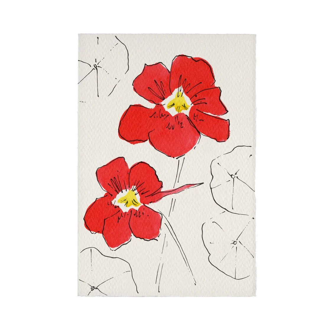 Nasturtiums card by Scribble & Daub