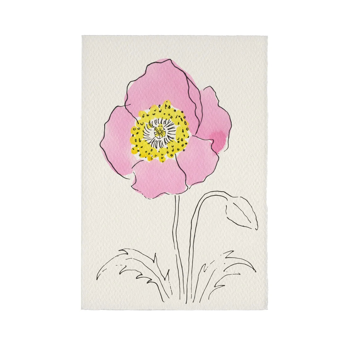 Oriental Poppy card by Scribble & Daub